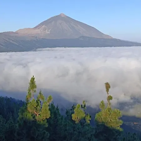 Rosas De Clara * 特格斯特