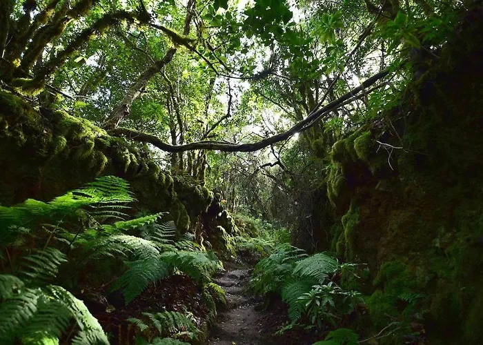 Nyaraló Rosas De Clara