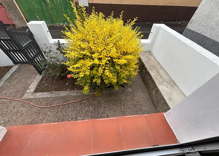 Rosas De Clara * Tegueste