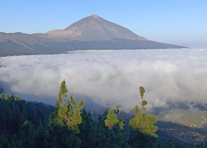 Rosas De Clara * Tegueste