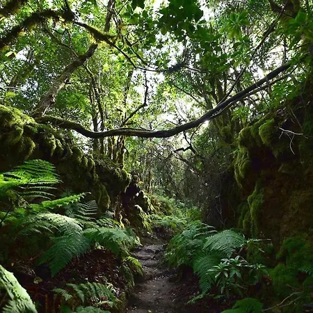 بيت للعطل Rosas De Clara